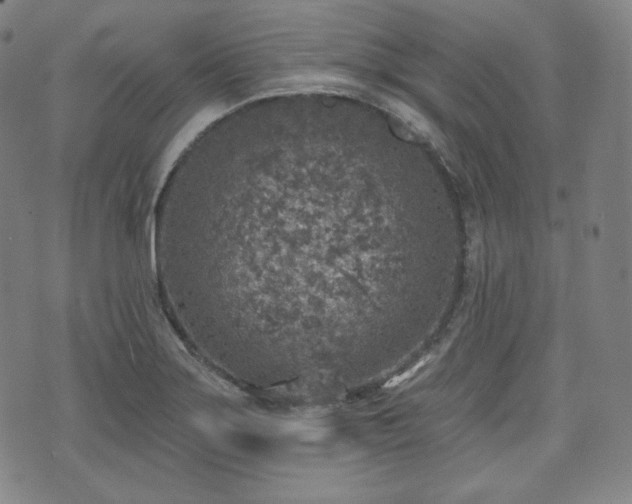 X0000071961275200607141425