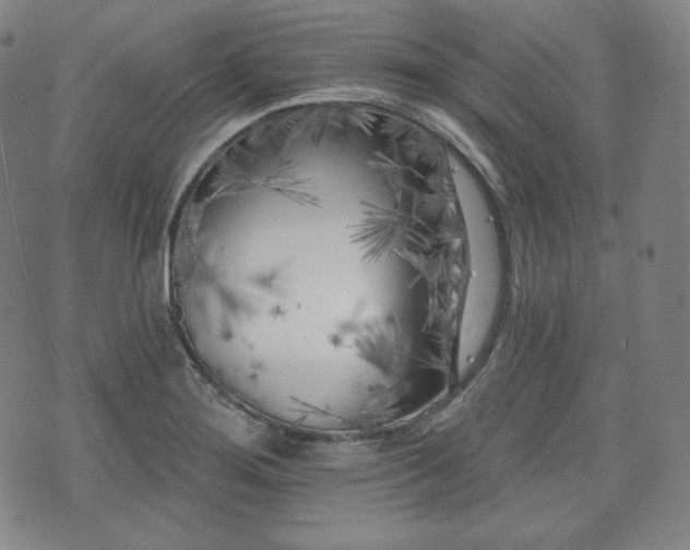 X0000071961276200607141425