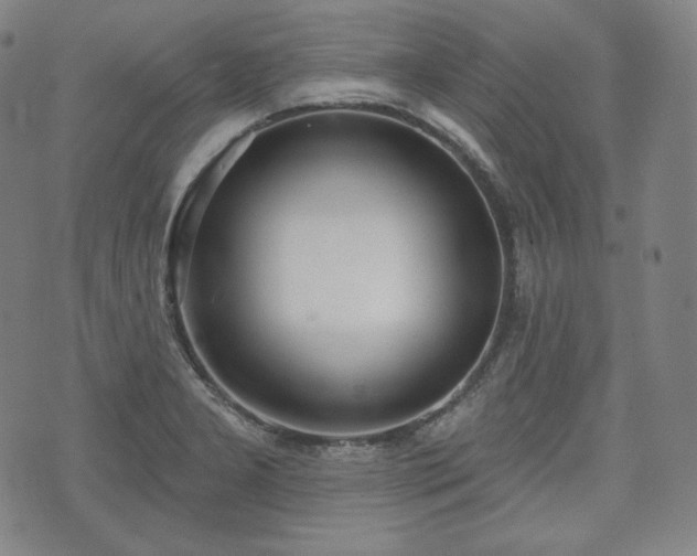 X0000071961277200607141425