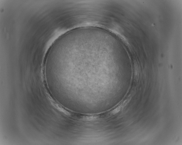 X0000071961278200607141425