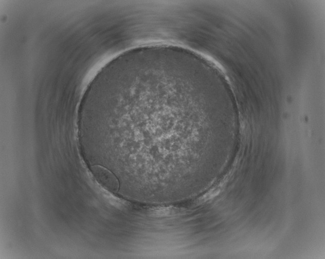 X0000071961279200607141425