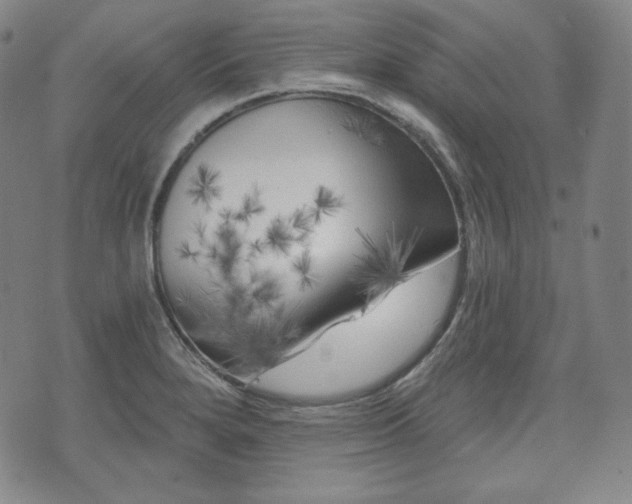 X0000071961280200607141425