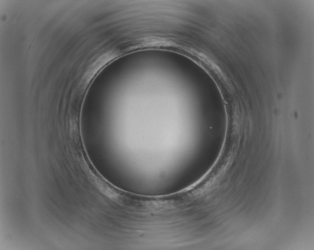 X0000071961281200607141425