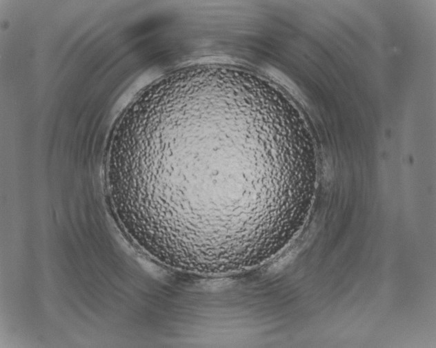 X0000071961282200607141425