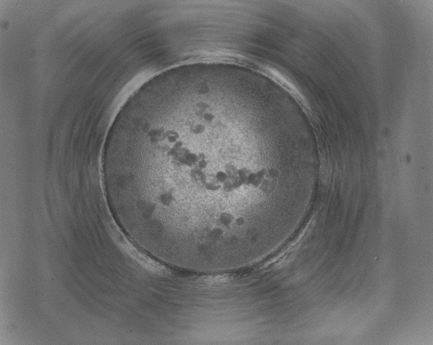 X0000071961283200607141425