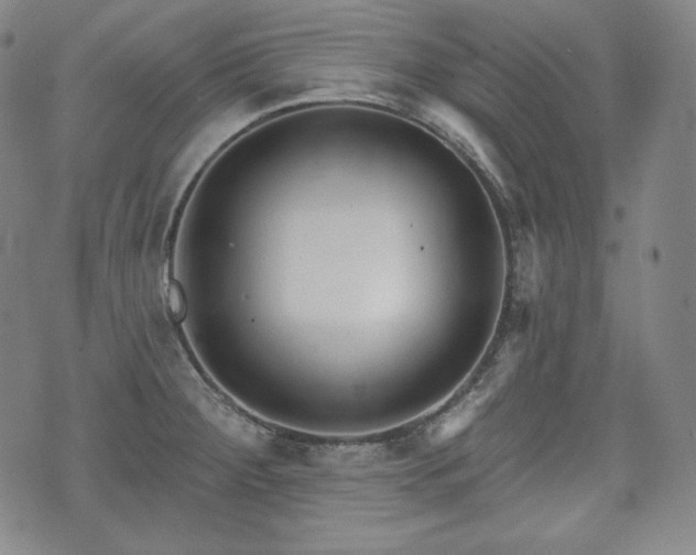 X0000071961284200607141425