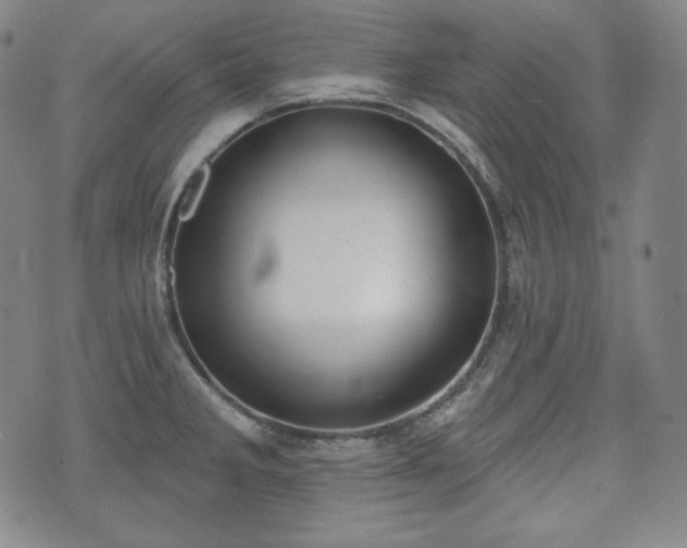 X0000071961285200607141425