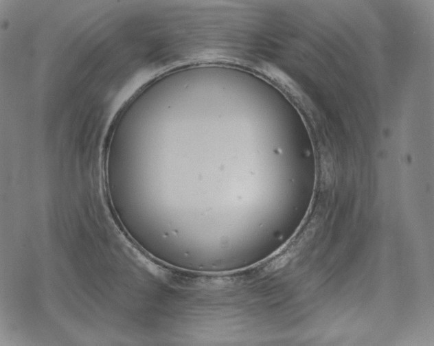 X0000071961286200607141425