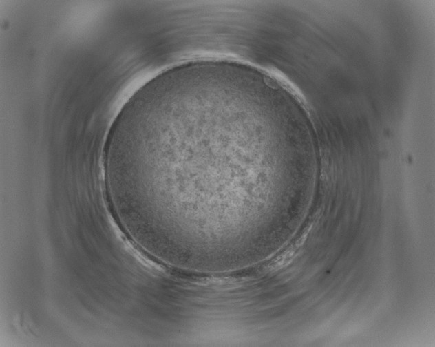 X0000071961287200607141425