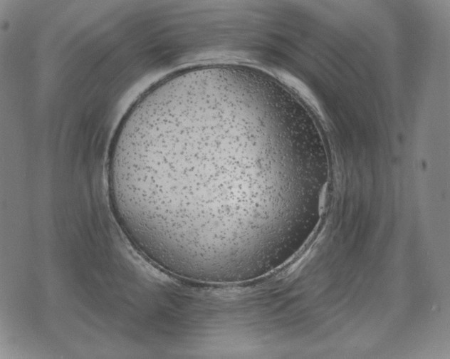 X0000071961288200607141425