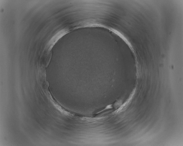 X0000071961289200607141425