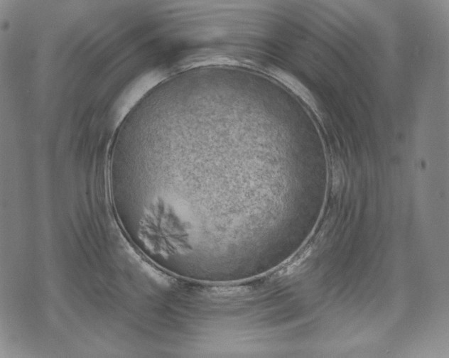 X0000071961290200607141425