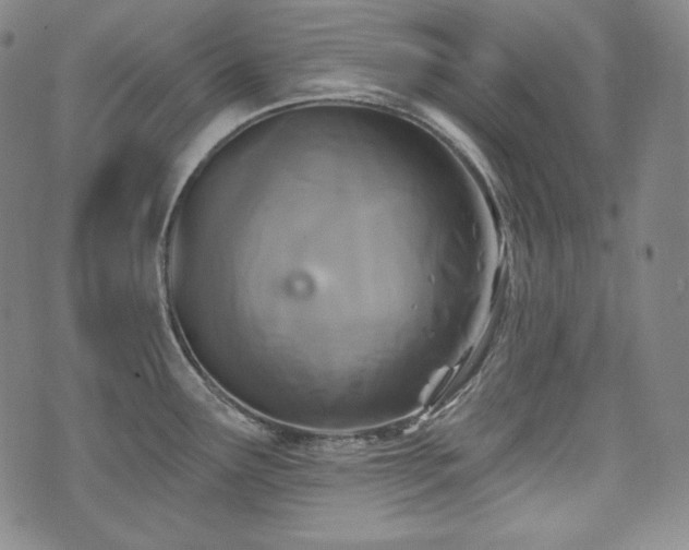 X0000071961291200607141425