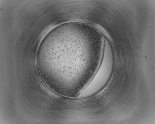 X0000071961292200607141425