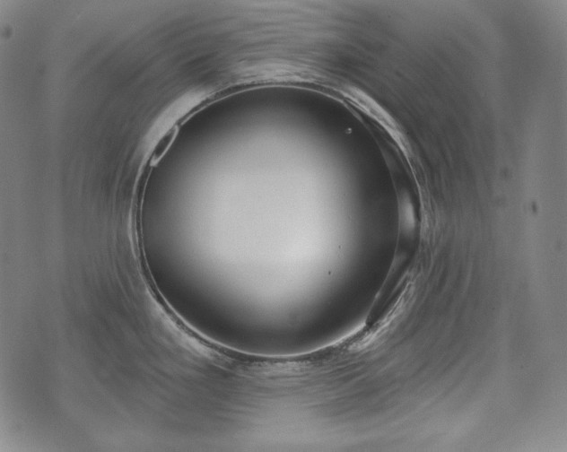 X0000071961293200607141425