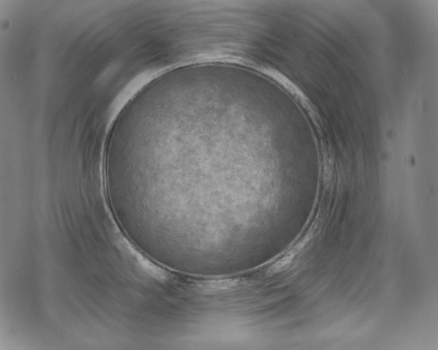 X0000071961294200607141425