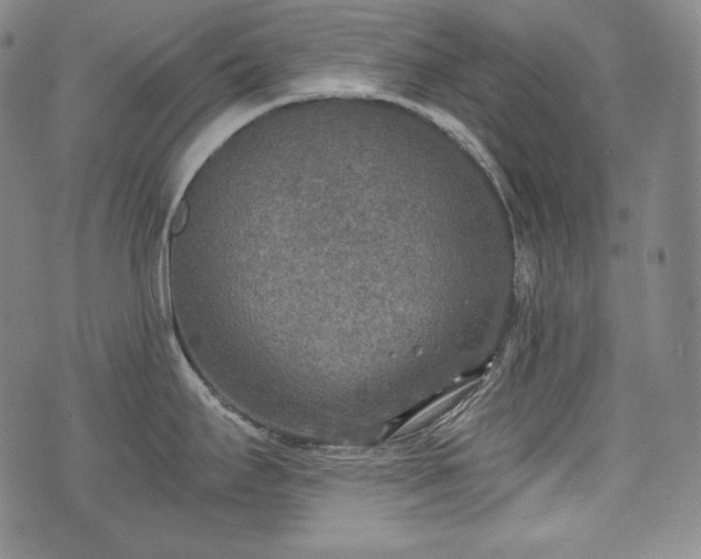 X0000071961295200607141425