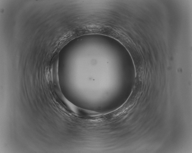 X0000071961298200607141424