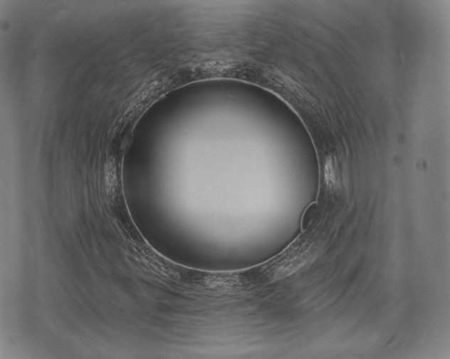 X0000071961299200607141424