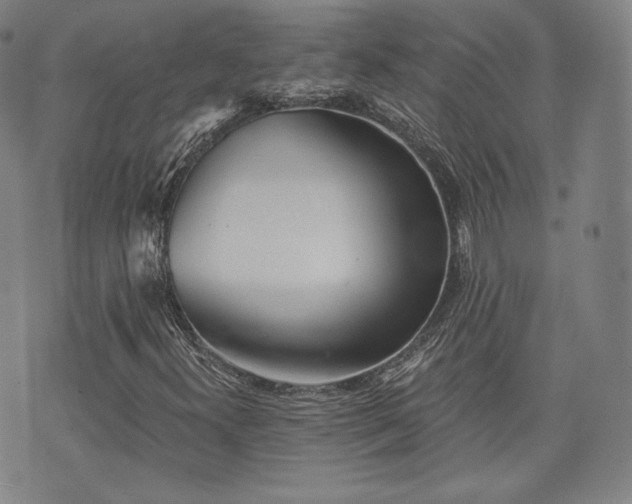 X0000071961300200607141424