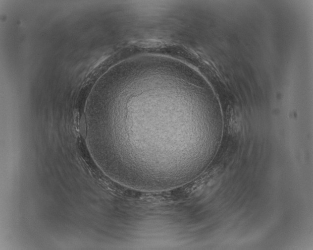 X0000071961301200607141424