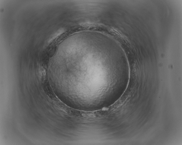 X0000071961302200607141424