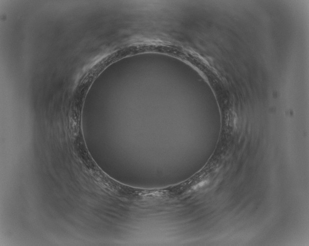 X0000071961303200607141424