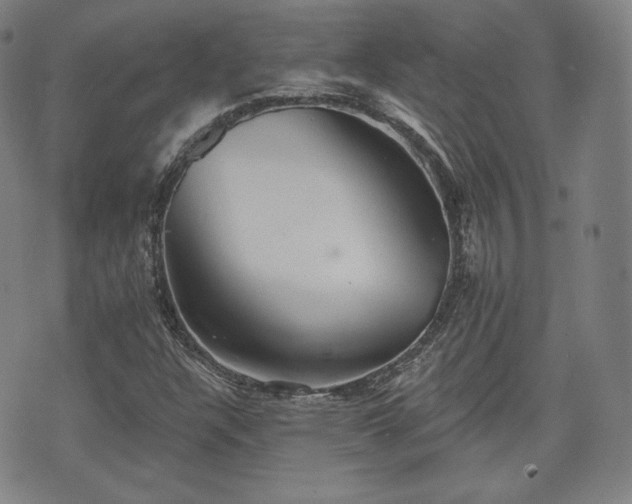 X0000071961304200607141424