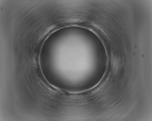 X0000071961305200607141424