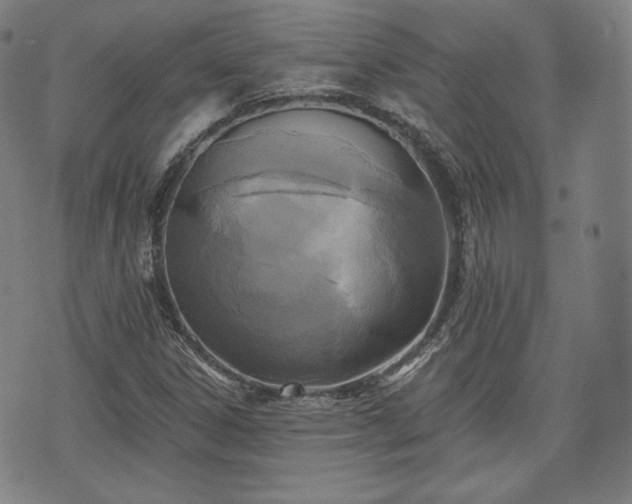 X0000071961306200607141424