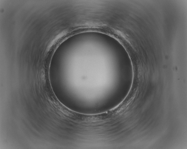 X0000071961307200607141424