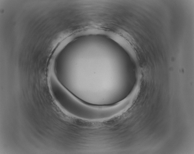 X0000071961308200607141424