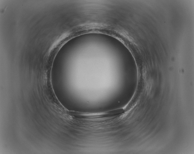 X0000071961309200607141424