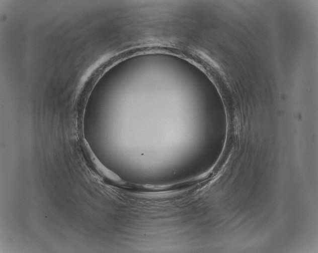 X0000071961310200607141424