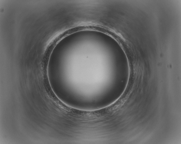 X0000071961311200607141424