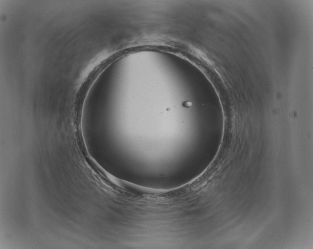 X0000071961312200607141424