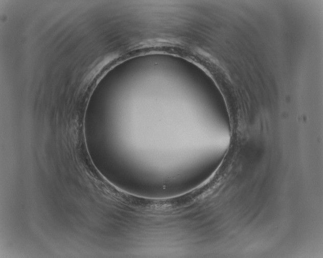 X0000071961313200607141424