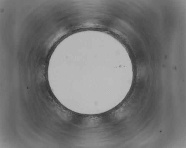 X0000071961314200607141424