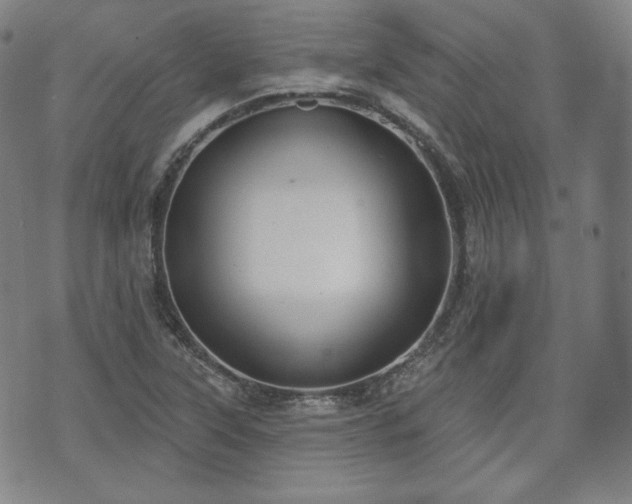 X0000071961315200607141424