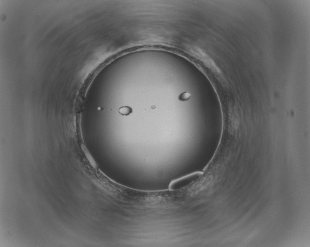 X0000071961316200607141424