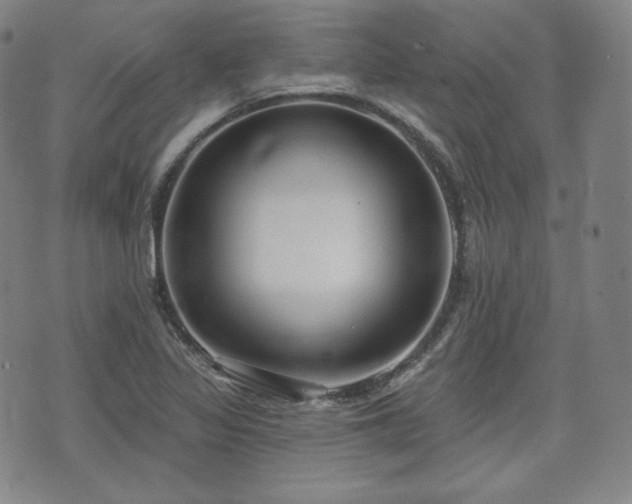 X0000071961317200607141424