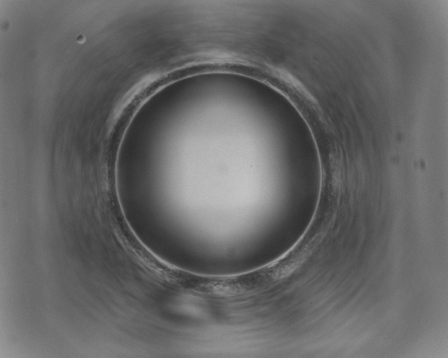 X0000071961318200607141424