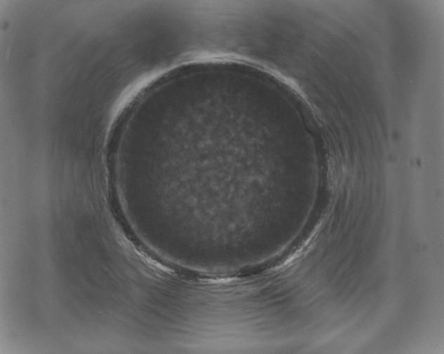 X0000071961319200607141424