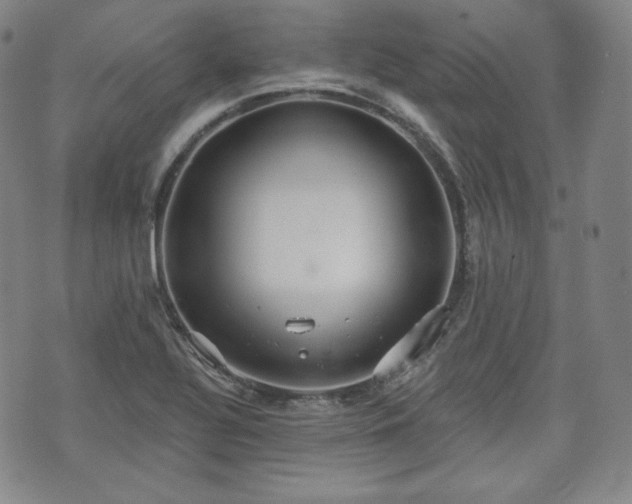 X0000071961320200607141424