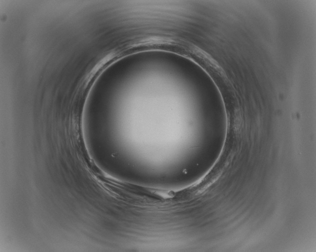 X0000071961321200607141424