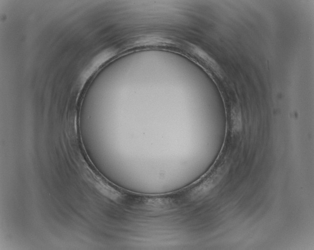 X0000071961322200607141424