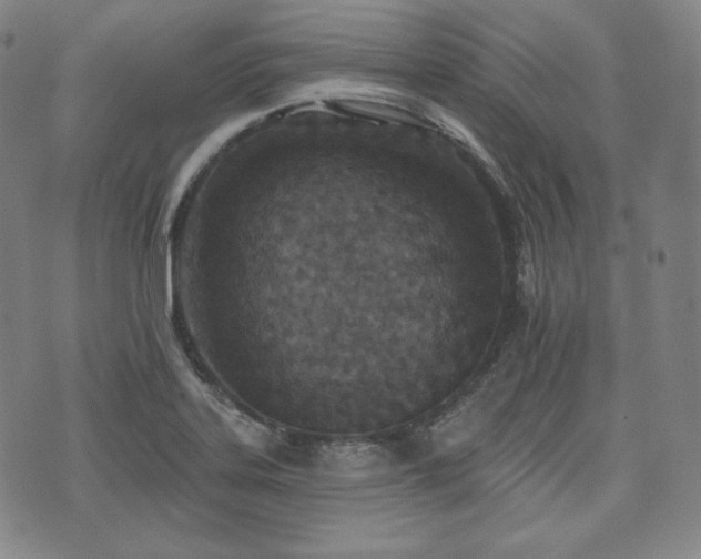 X0000071961323200607141424