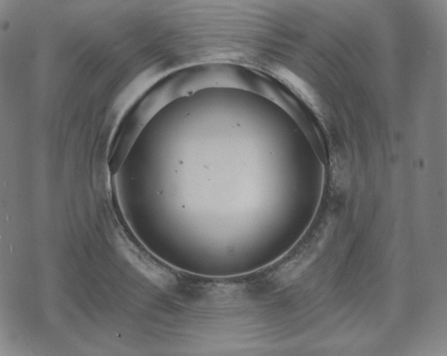 X0000071961324200607141424