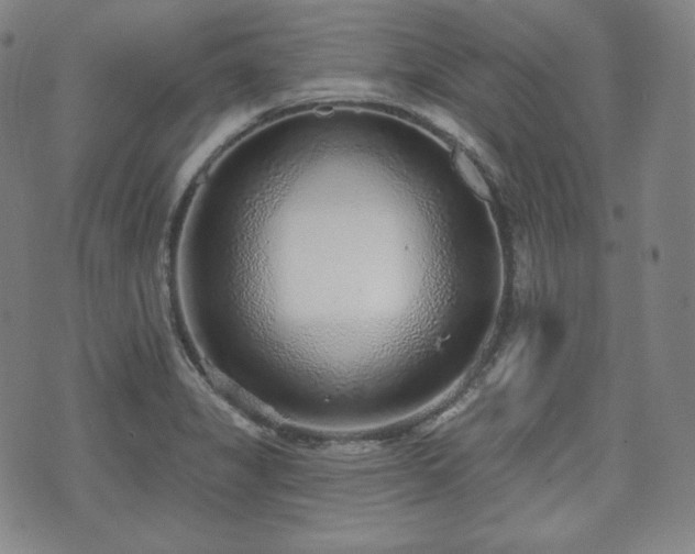 X0000071961325200607141424