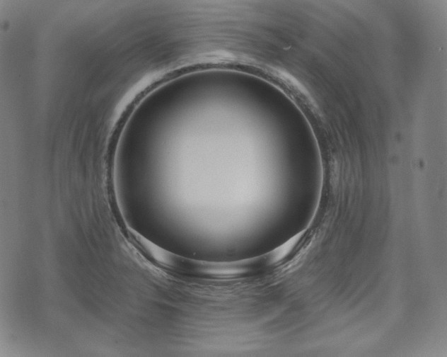 X0000071961326200607141424